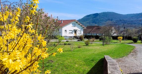 Vente Maison 5 pices LUXEUIL-LES-BAINS 70300