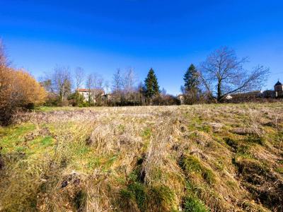 Vente Terrain SAINTE-AGATHE-EN-DONZY 42510