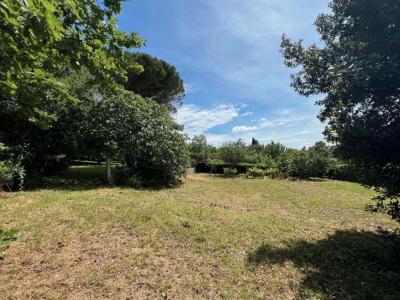 Vente Terrain MAUZAC 31410