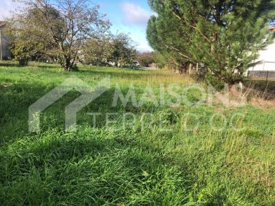 Vente Terrain MONTAIGUT-SUR-SAVE 31530