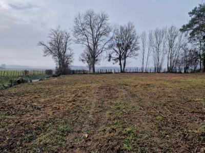 Vente Terrain MONTAGNY-LES-SEURRE 21250