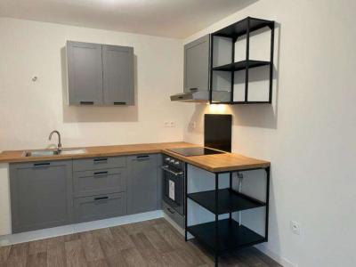 Location Appartement 2 pices CHEVIGNY-SAINT-SAUVEUR 21800