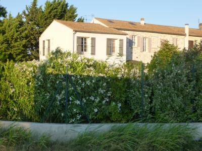 Vente Maison 10 pices AVIGNON 84000