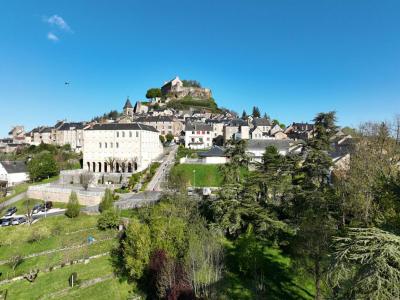 Vente Maison 40 pices SEVERAC-LE-CHATEAU 12150