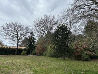 Vente Terrain TESTE-DE-BUCH 33260