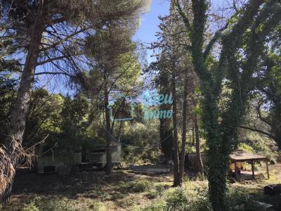 Vente Terrain COMBAILLAUX 34980