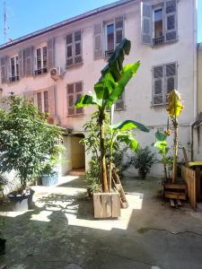 Vente Appartement 2 pices NICE 06000