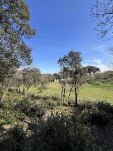 Vente Terrain SAINT-BENEZET 30350
