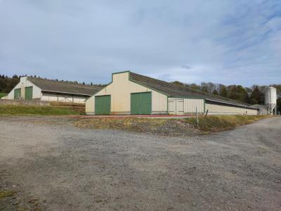 Vente Maison ALLINEUC 22460
