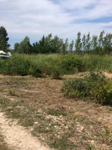 Vente Terrain SAINT-HILAIRE-D'OZILHAN 30210