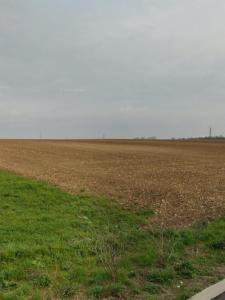 Vente Terrain SAINT-XANDRE 17138