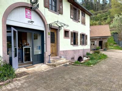 Vente Maison 10 pices BREITENAU 67220