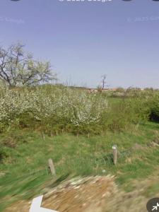 Vente Maison 5 pices LUDRES 54710