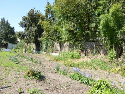 Vente Terrain ROCHELLE 17000