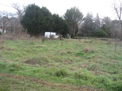 Vente Terrain VILLANDRAUT 33730