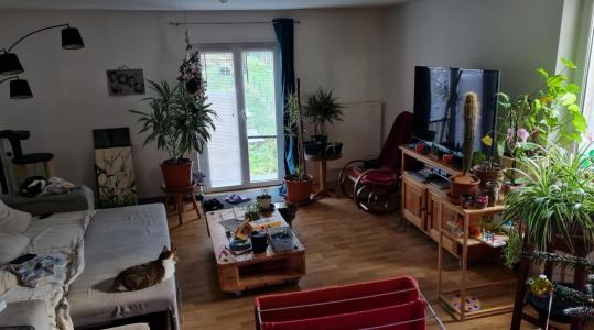 Vente Immeuble BOURDONNAY 57810