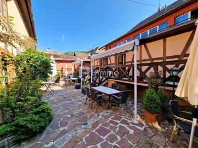 Vente Immeuble MOOSCH 68690