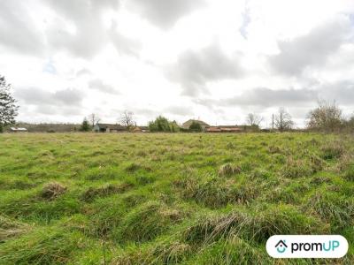 Vente Terrain VIEUX-RUFFEC 16350