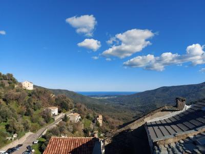 Location Appartement 3 pices VIGNALE 20290