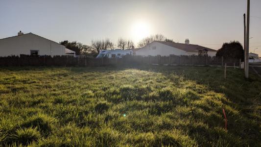 Vente Terrain SAINT-HILAIRE-DE-RIEZ 85270