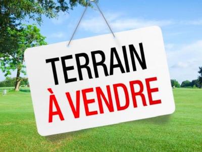 Vente Terrain SAINT-HILAIRE-DE-RIEZ 85270