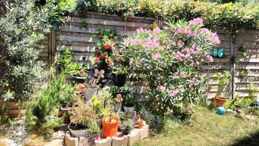 Vente Appartement 3 pices MARSEILLE-14EME-ARRONDISSEMENT 13014
