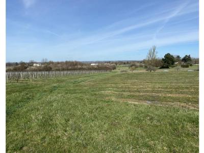 Vente Terrain SAINT-GERMAIN-DU-PUCH 33750
