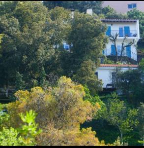 Vente Maison 7 pices LAROQUE-DES-ALBERES 66740