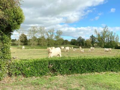 Location Maison 6 pices AUBIGNY 85430