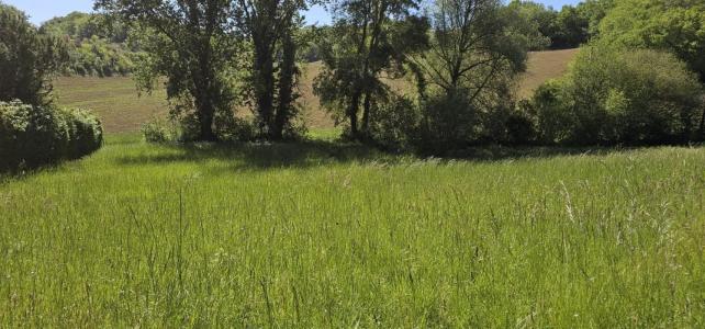Vente Terrain PESSAN 32550