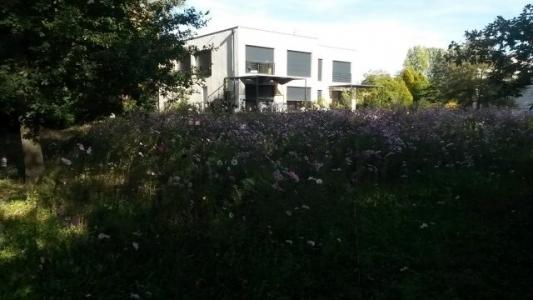 Location Appartement 3 pices PIN-BALMA 31130