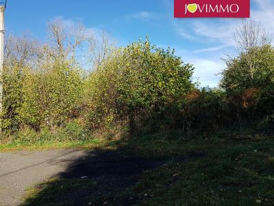 Vente Terrain AURIERES 63210