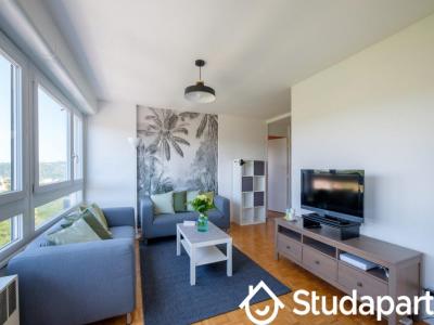 Location Appartement OULLINS 69600