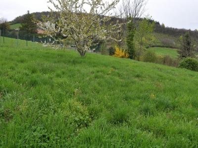 Vente Terrain SAINT-DIDIER-AU-MONT-D'OR 69370