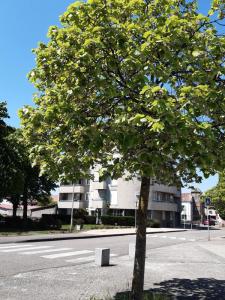 Location Appartement 3 pices HERICOURT 70400