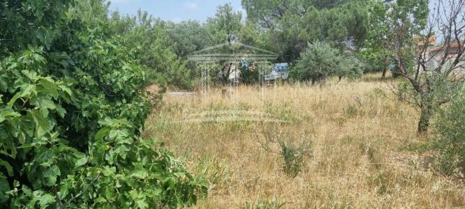 Vente Terrain SORGUES 84700