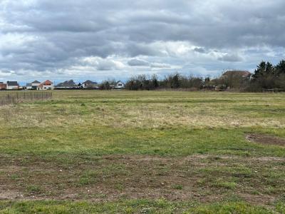 Vente Terrain WITTELSHEIM 68310