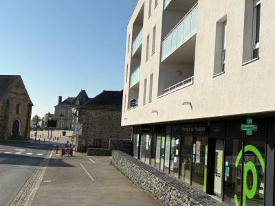 Location Appartement 3 pices HUISSERIE 53970