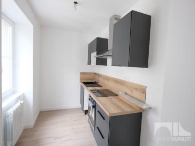 Location Appartement 3 pices SAINT-ETIENNE 42000