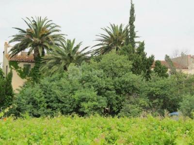 Vente Maison 10 pices SALEILLES 66280