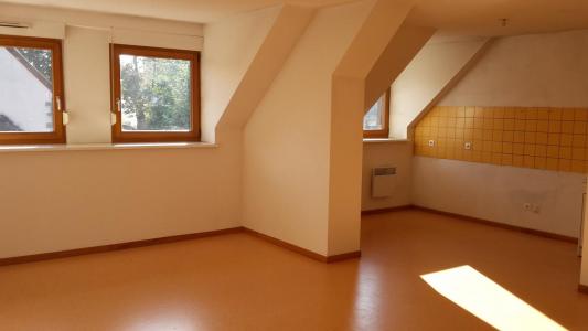 Location Appartement 2 pices LORENTZEN 67430