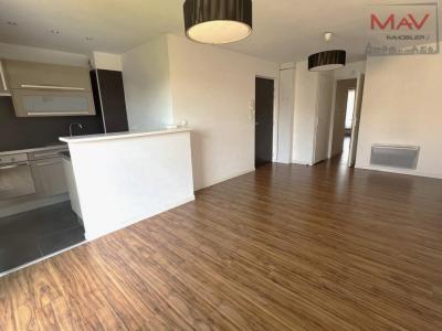 Location Appartement 3 pices LILLE 59800