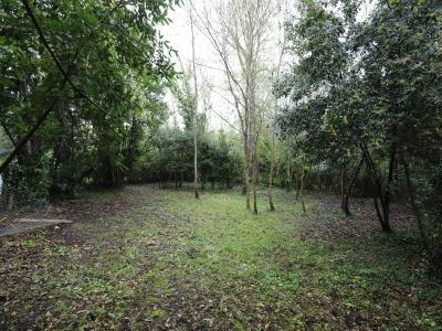 Vente Terrain SAINT-GEORGES-D'OLERON 17190