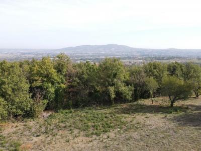 Vente Terrain MARCY 69480