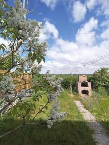 Vente Maison STEENE 59380