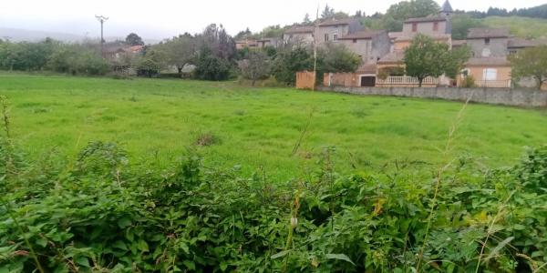 Vente Terrain COURNIOU 34220