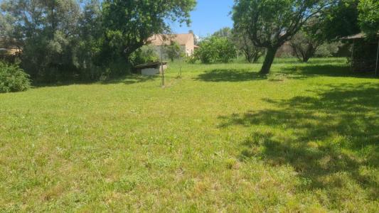 Vente Terrain PAULHAN 34230