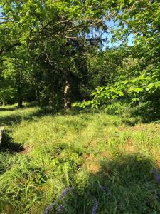Vente Terrain SAINT-FLORENT-SUR-AUZONNET 30960