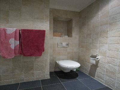 Location Appartement 2 pices MANS 72100