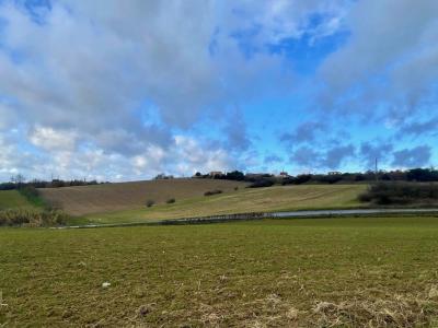 Location Maison 4 pices CASTELNAU-D'ESTRETEFONDS 31620